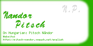 nandor pitsch business card